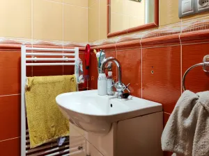 Pronájem atypického bytu, Beroun - Beroun-Závodí, Pražská, 40 m2