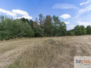 Prodej pozemku pro bydlení, Merklín, 1128 m2