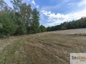 Prodej pozemku pro bydlení, Merklín, 1128 m2