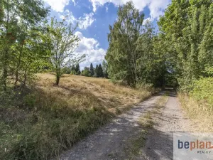 Prodej pozemku pro bydlení, Merklín, 1038 m2