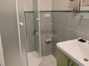 Pronájem bytu 1+kk, Praha, Pirinská, 30 m2