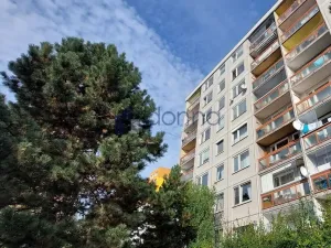 Pronájem bytu 1+kk, Praha, Pirinská, 30 m2