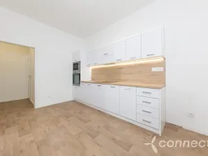 Pronájem bytu 3+kk, Přerov - Přerov I-Město, Husova, 39 m2