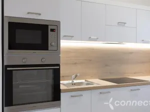 Pronájem bytu 3+kk, Přerov - Přerov I-Město, Husova, 39 m2
