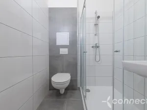 Pronájem bytu 3+kk, Přerov - Přerov I-Město, Husova, 39 m2