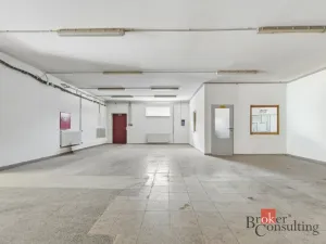 Pronájem výrobních prostor, Blešno, 435 m2