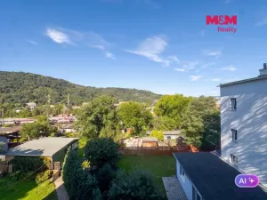 Prodej bytu 2+kk, Ústí nad Labem - Střekov, Purkyňova, 48 m2
