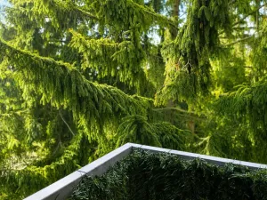 Prodej bytu 1+kk, Nučice, U Nádraží, 49 m2