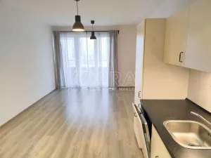 Prodej bytu 1+kk, Praha - Letňany, Kadečkové, 38 m2