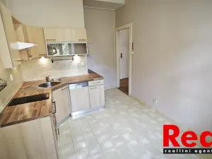 Pronájem bytu 1+1, Brno - Veveří, Čápkova, 42 m2