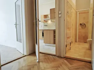 Pronájem bytu 1+1, Brno - Veveří, Čápkova, 42 m2