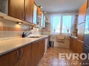Prodej rodinného domu, Srch, Na Pašti, 240 m2