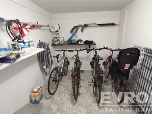 Prodej rodinného domu, Srch, Na Pašti, 240 m2