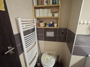 Pronájem bytu 2+kk, Praha - Hostivař, Rižská, 57 m2