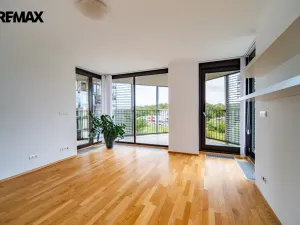 Pronájem bytu 1+kk, Praha - Žižkov, Pitterova, 44 m2