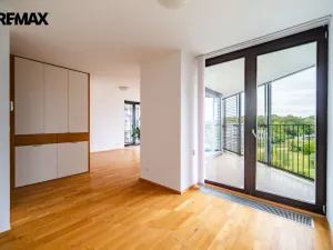Pronájem bytu 1+kk, Praha - Žižkov, Pitterova, 44 m2
