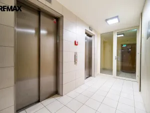 Pronájem bytu 1+kk, Praha - Žižkov, Pitterova, 44 m2