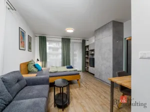 Prodej bytu 2+kk, Plzeň - Východní Předměstí, Kartónová, 56 m2