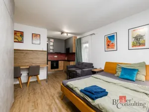 Prodej bytu 2+kk, Plzeň - Východní Předměstí, Kartónová, 56 m2