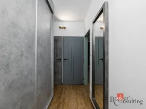 Prodej bytu 2+kk, Plzeň - Východní Předměstí, Kartónová, 56 m2