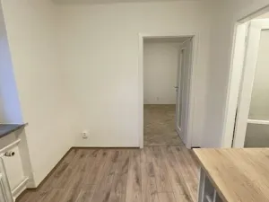 Pronájem bytu 1+1, Plzeň, Kyjevská, 28 m2