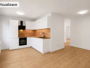 Prodej bytu 3+kk, Mladá Boleslav - Mladá Boleslav III, 51 m2