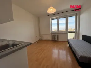 Prodej bytu 1+kk, Karviná - Mizerov, Borovského, 23 m2