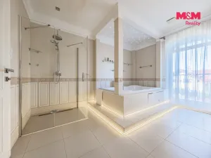 Prodej kanceláře, Šestajovice, U Váhy, 356 m2