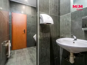 Prodej obchodního prostoru, Praha, Trnkovo náměstí, 324 m2