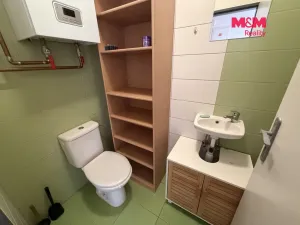 Pronájem bytu 3+kk, Vinařice, 75 m2