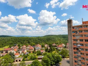 Prodej bytu 2+1, Bílina - Pražské Předměstí, Aléská, 48 m2