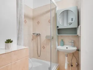 Prodej bytu 1+kk, Brno - Staré Brno, Náplavka, 18 m2