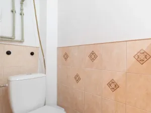 Prodej bytu 1+kk, Brno - Staré Brno, Náplavka, 18 m2