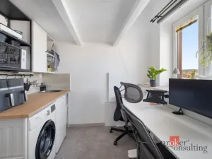 Prodej bytu 1+kk, Brno - Staré Brno, Náplavka, 18 m2
