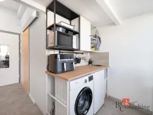 Prodej bytu 1+kk, Brno - Staré Brno, Náplavka, 18 m2