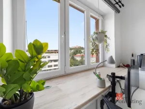 Prodej bytu 1+kk, Brno - Staré Brno, Náplavka, 18 m2