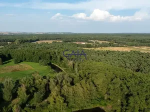 Prodej kanceláře, Vacenovice, Dolní Konec, 692 m2