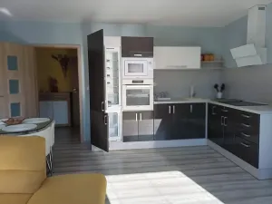 Prodej bytu 2+kk, Teplice, Bohosudovská, 47 m2