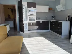 Prodej bytu 2+kk, Teplice, Bohosudovská, 47 m2