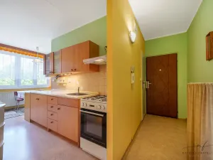 Prodej bytu 2+1, Cheb, Matěje Kopeckého, 60 m2