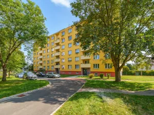 Prodej bytu 2+1, Cheb, Matěje Kopeckého, 60 m2