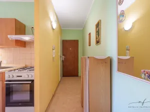 Prodej bytu 2+1, Cheb, Matěje Kopeckého, 60 m2