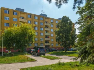 Prodej bytu 2+1, Cheb, Matěje Kopeckého, 60 m2