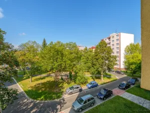 Prodej bytu 2+1, Cheb, Matěje Kopeckého, 60 m2