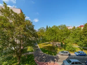 Prodej bytu 2+1, Cheb, Matěje Kopeckého, 60 m2