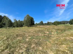 Prodej pozemku pro bydlení, Volary, Finské domky, 8083 m2