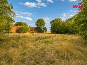 Prodej pozemku pro bydlení, Běchary, 986 m2
