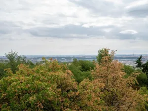 Pronájem bytu 3+1, Praha - Kobylisy, Chotovická, 83 m2