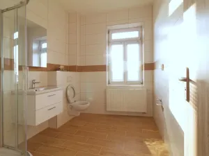 Pronájem bytu 2+1, Líně, Plzeňská, 50 m2