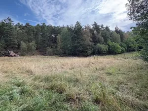 Prodej pozemku pro bydlení, Vlčatín, 56720 m2